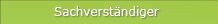 Sachverständiger